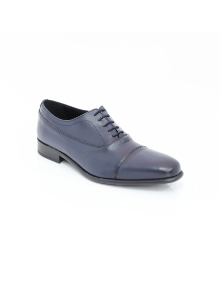 Modelo 3781 - Becerro Azul